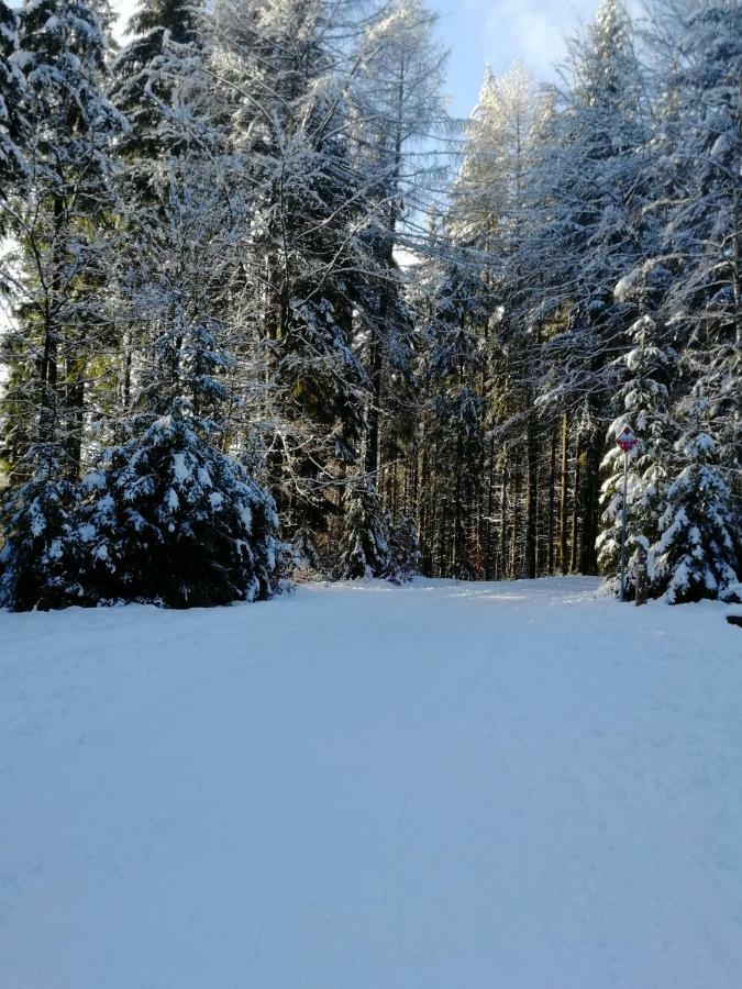 Rodinny Apartman Harrachov 606 Eksteriør bilde